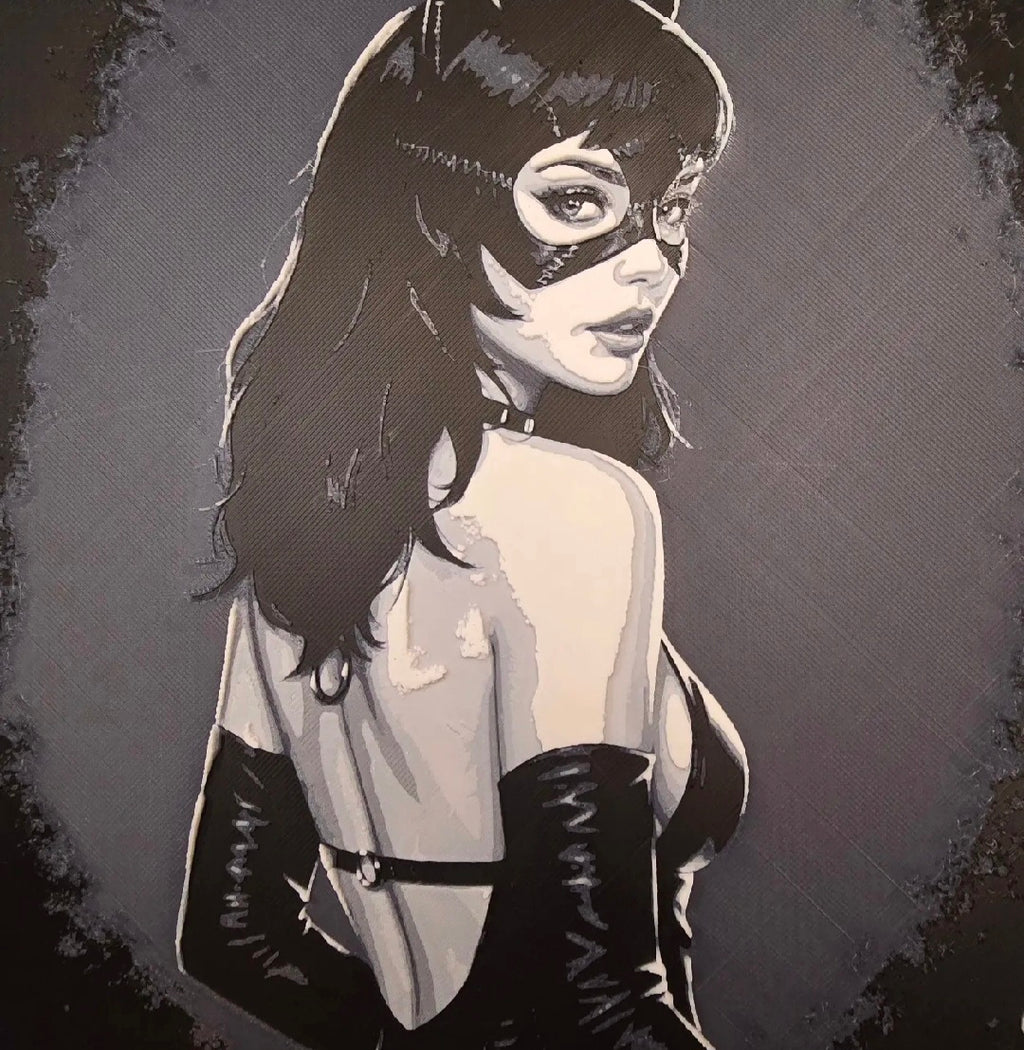 Framed Catwoman / Stylish Heroine 3D HueForge Art | 20×20cm | Free Stand | Brand New