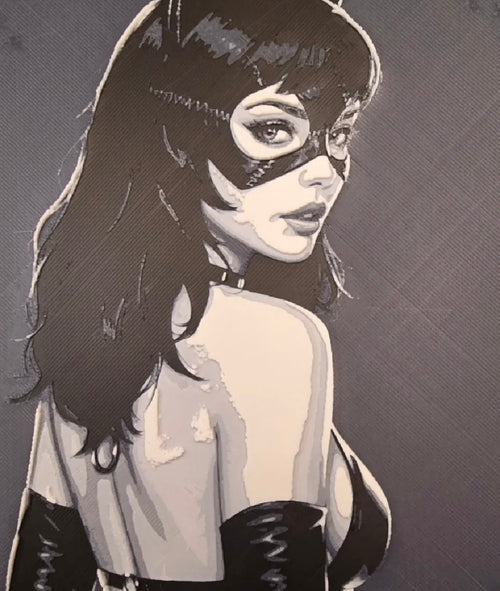 Framed Catwoman / Stylish Heroine 3D HueForge Art | 20×20cm | Free Stand | Brand New